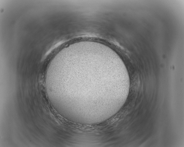 X0000086071255200704202117