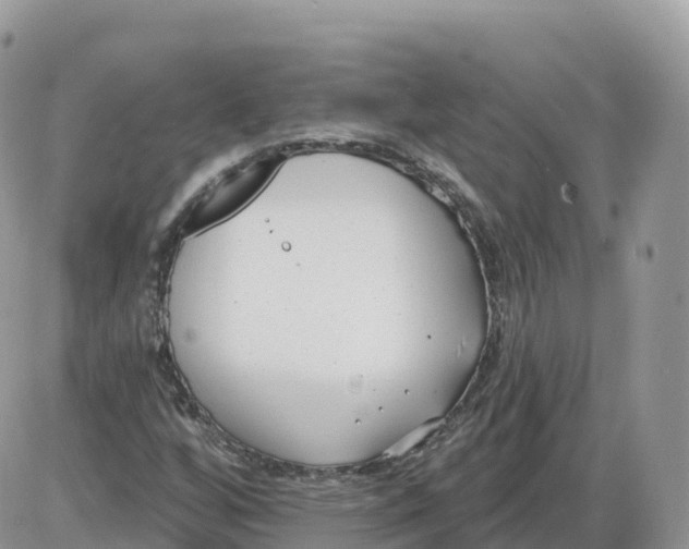 X0000086071256200704202117