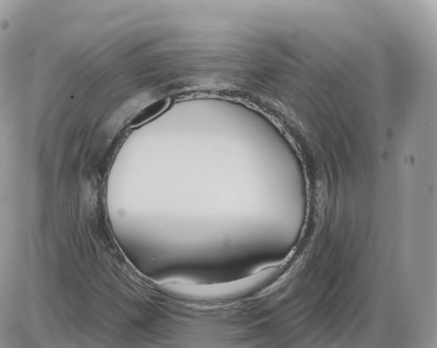 X0000086071257200704202117