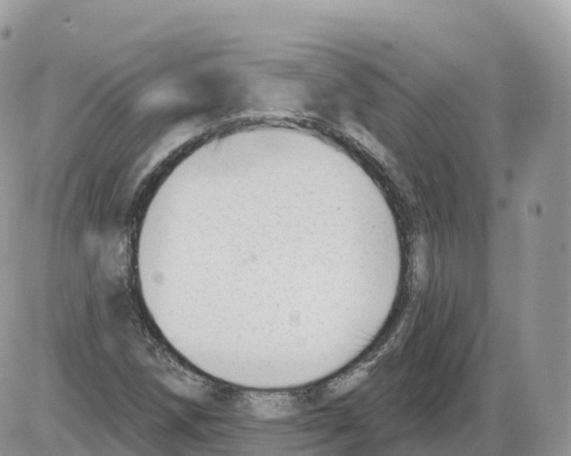 X0000086071258200704202117