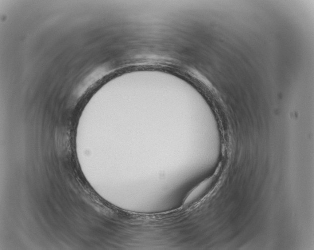 X0000086071259200704202117