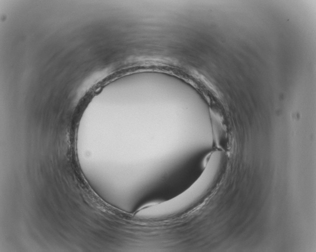 X0000086071261200704202117