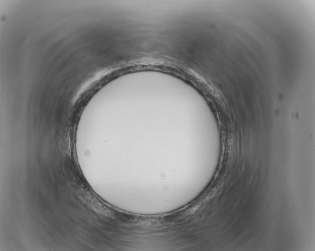 X0000086071262200704202117