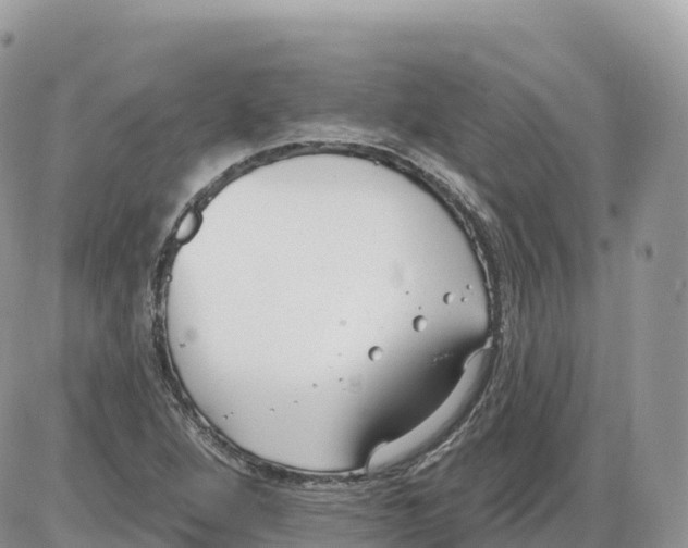 X0000086071264200704202117