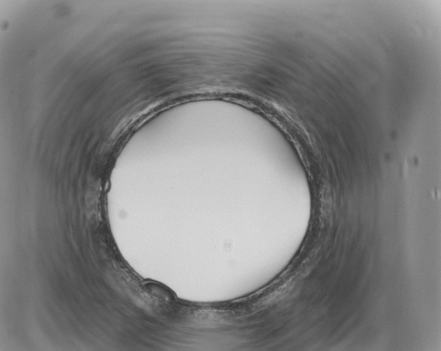 X0000086071265200704202117