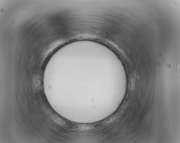 X0000086071266200704202117