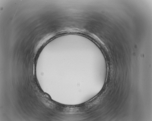 X0000086071269200704202117