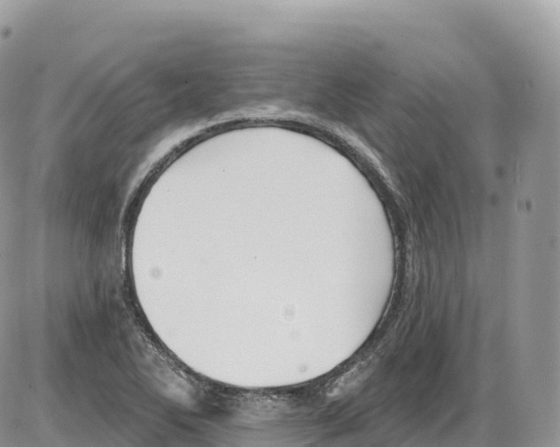 X0000086071270200704202117