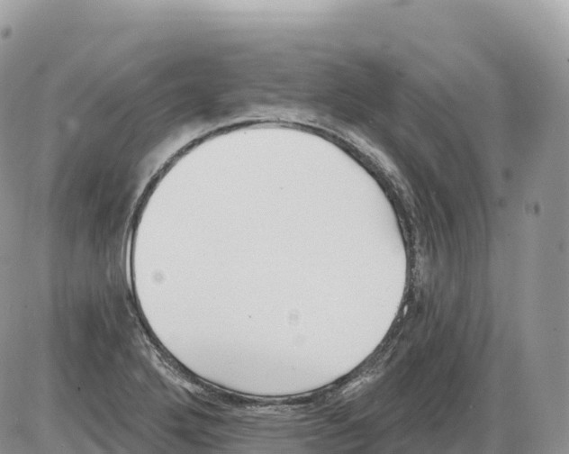 X0000086071272200704202117