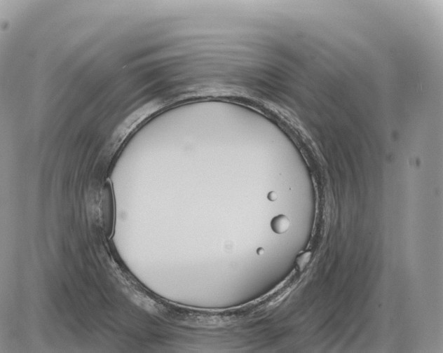 X0000086071273200704202117