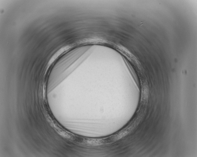 X0000086071274200704202117