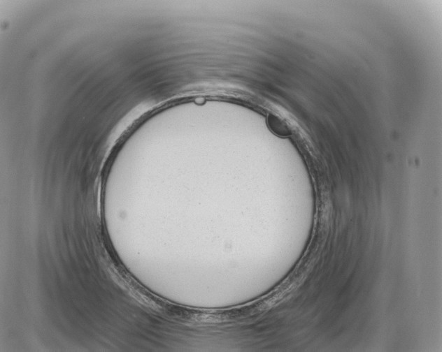 X0000086071275200704202117