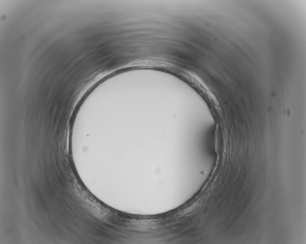 X0000086071276200704202117