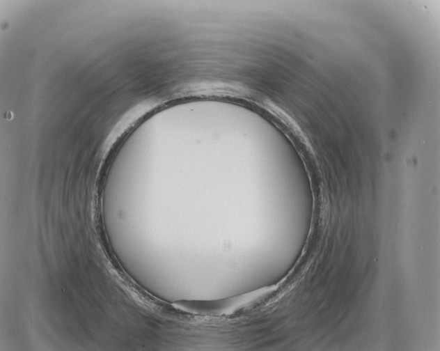 X0000086071277200704202117