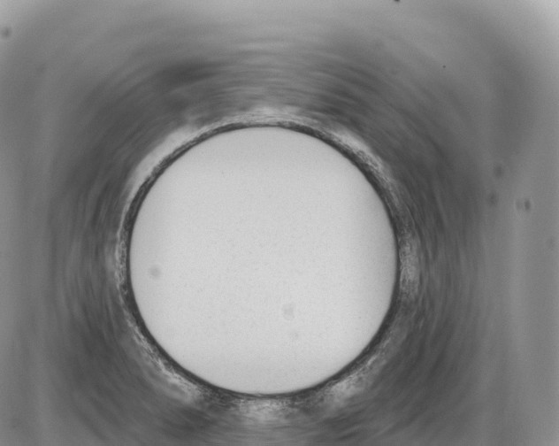 X0000086071278200704202117