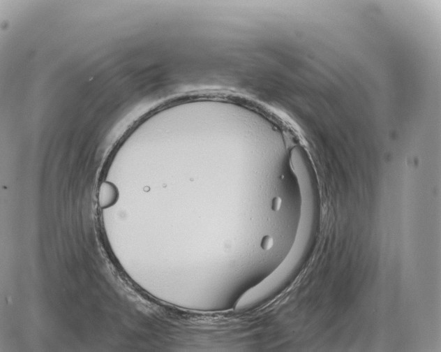 X0000086071279200704202117