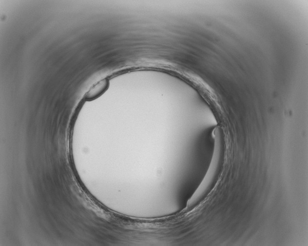 X0000086071280200704202117