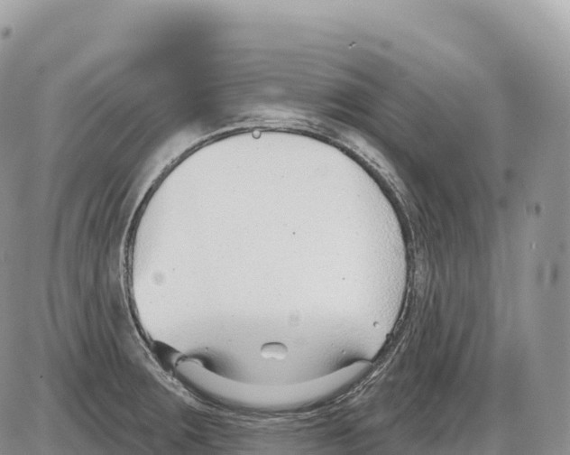 X0000086071283200704202117