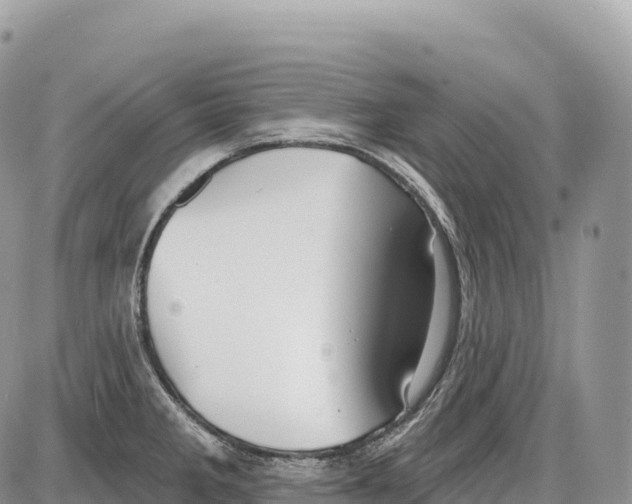 X0000086071285200704202117