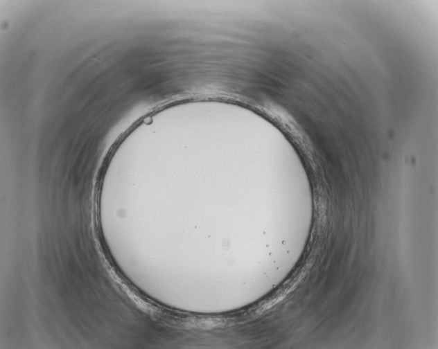 X0000086071286200704202117