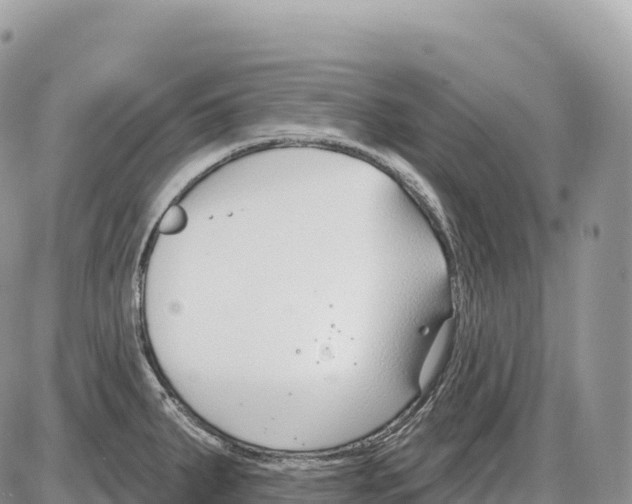 X0000086071287200704202117