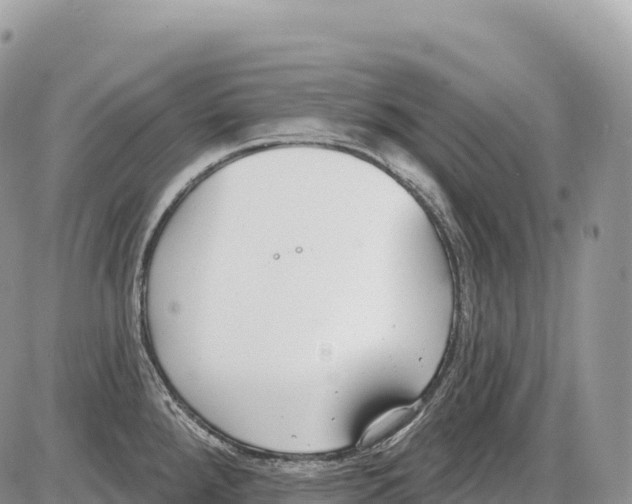 X0000086071288200704202117