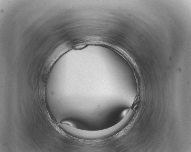 X0000086071289200704202117