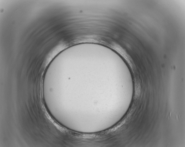 X0000086071290200704202117