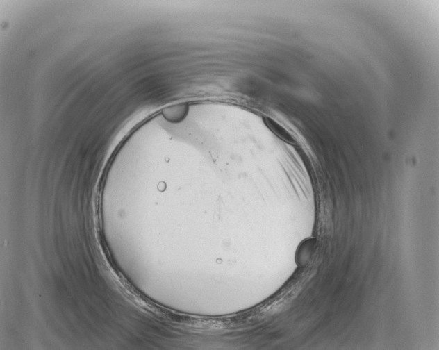 X0000086071291200704202117