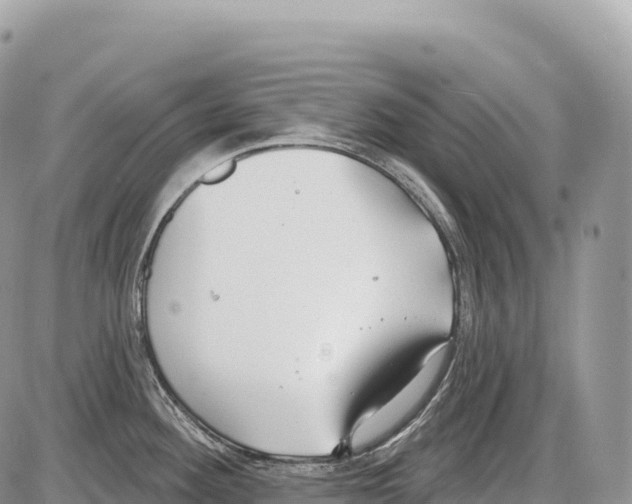 X0000086071292200704202117