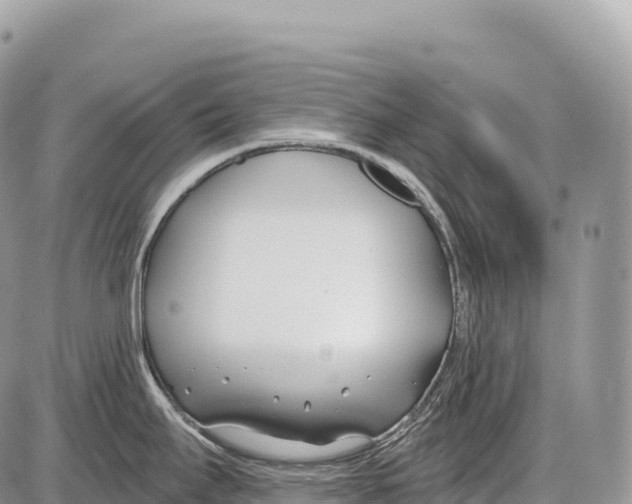 X0000086071295200704202117