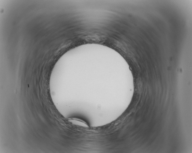 X0000086071297200704202116