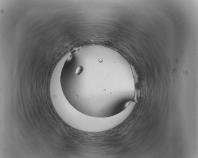 X0000086071298200704202116