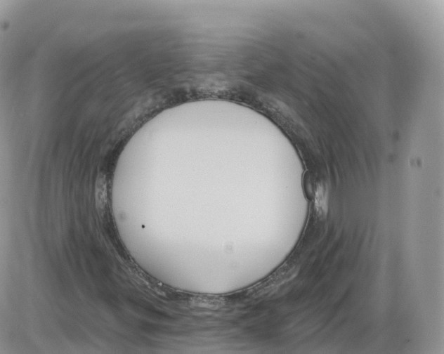 X0000086071299200704202116