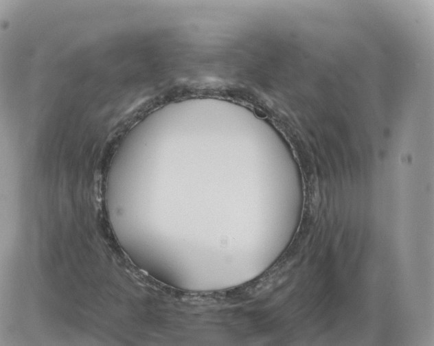 X0000086071301200704202116