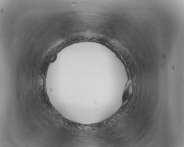 X0000086071302200704202116