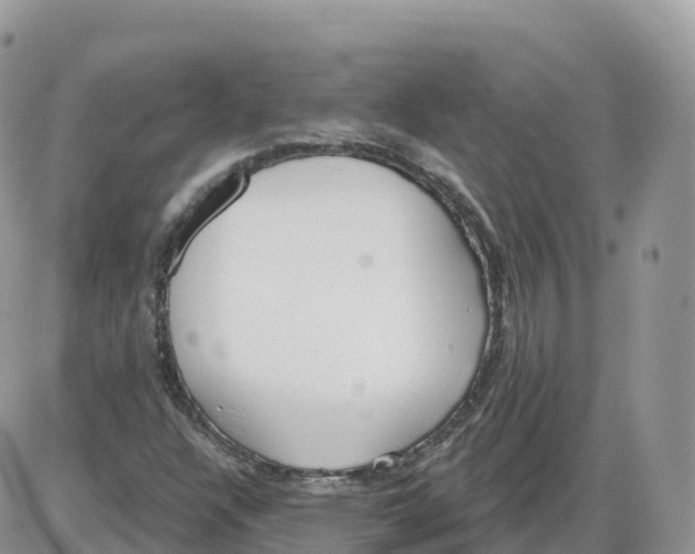 X0000086071304200704202116