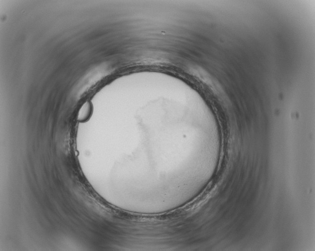 X0000086071306200704202116