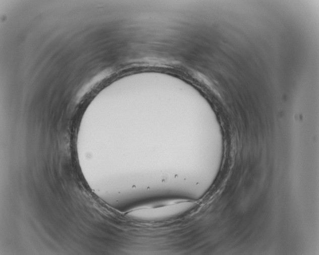 X0000086071307200704202116