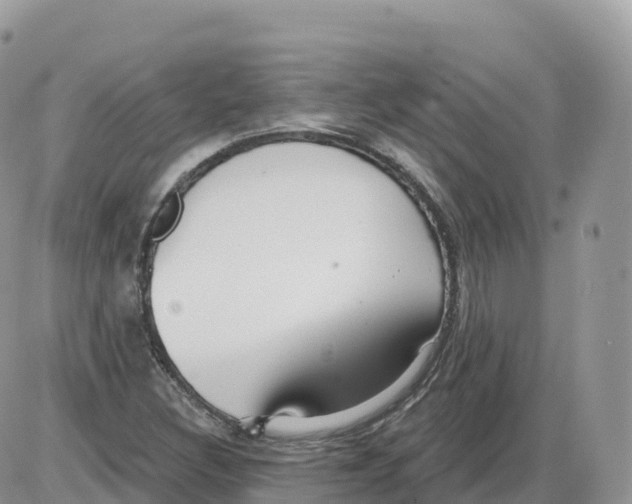 X0000086071308200704202116