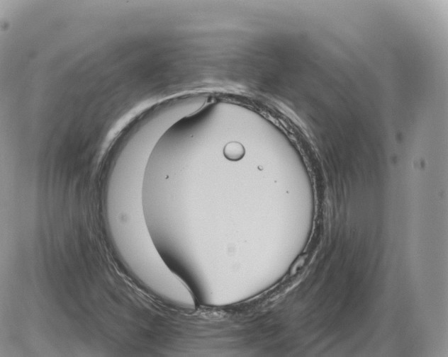 X0000086071310200704202116