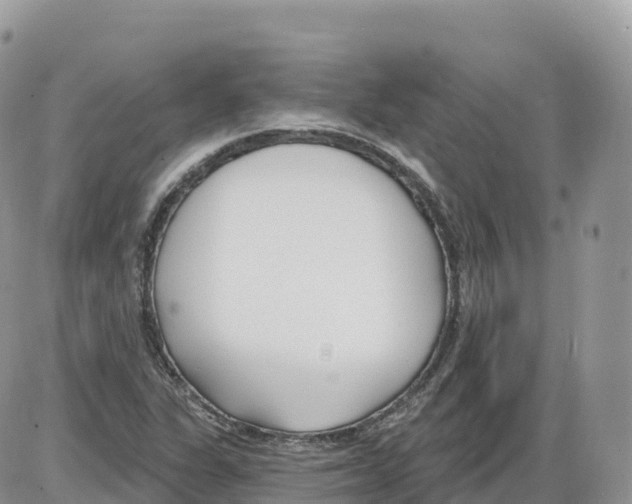 X0000086071311200704202116