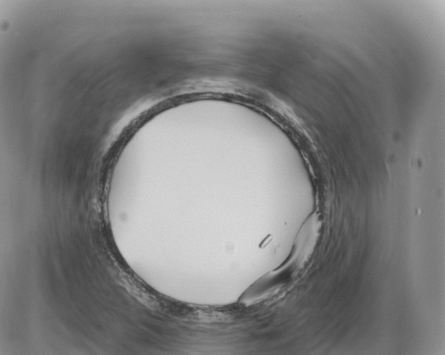 X0000086071312200704202116