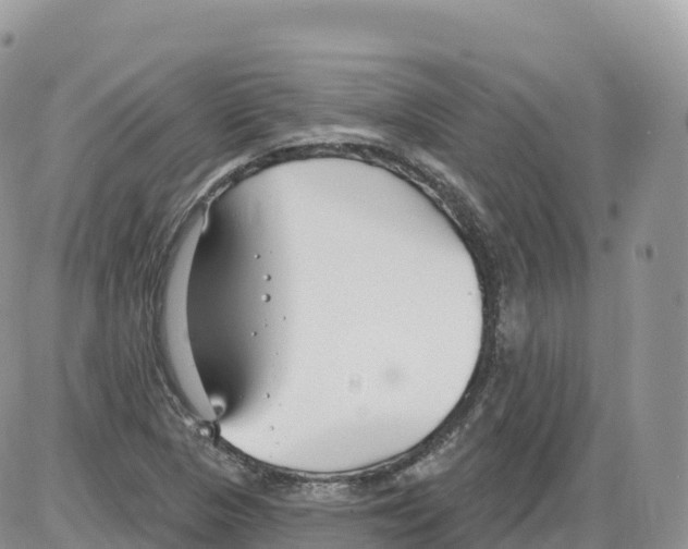 X0000086071313200704202116