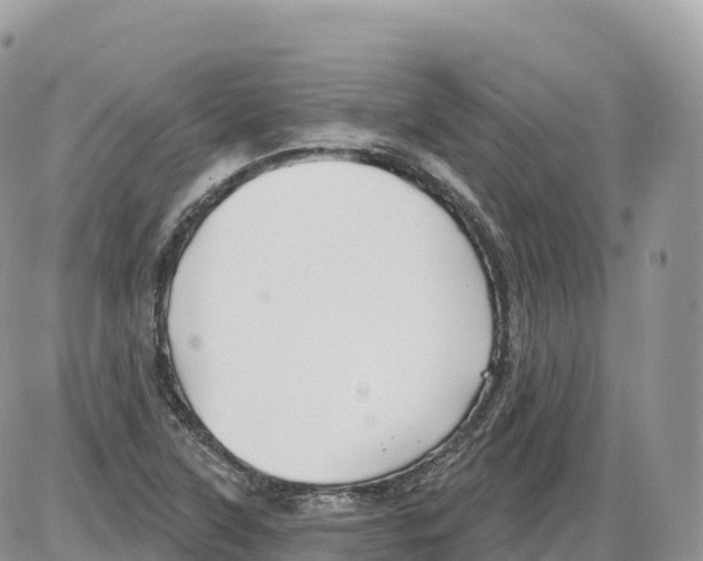 X0000086071315200704202116