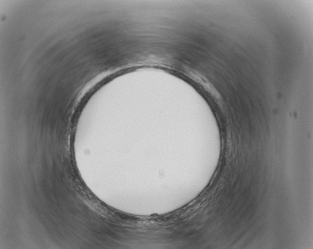 X0000086071316200704202116