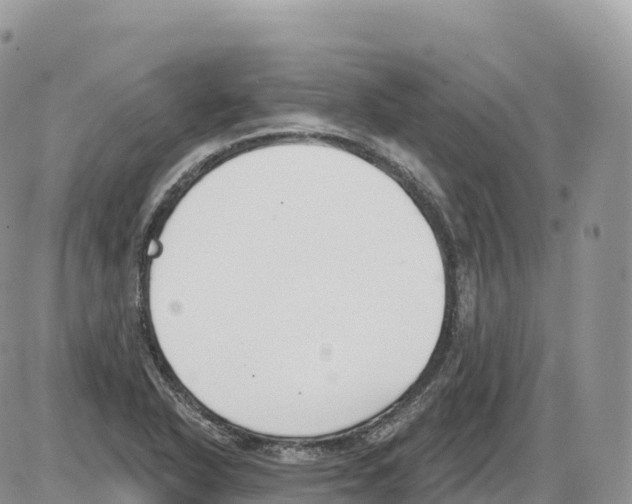 X0000086071318200704202116