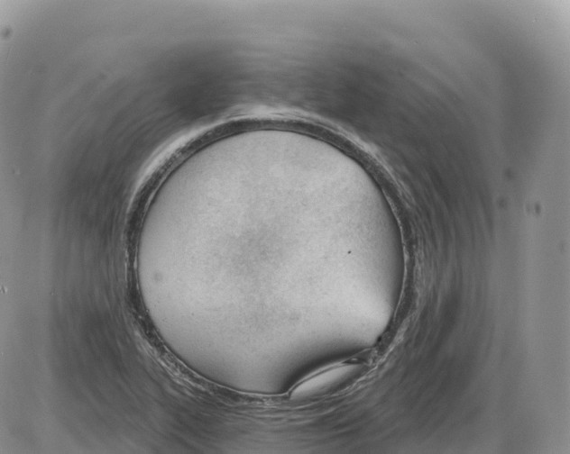 X0000086071319200704202116