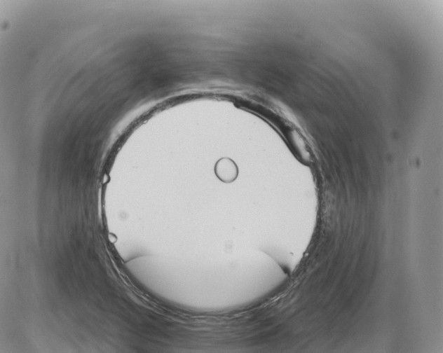 X0000086071320200704202116