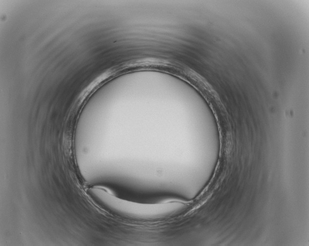 X0000086071321200704202116